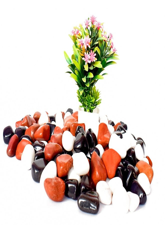Power Stone Decorative Coloured Asymmetric Marble Stone Pebbles for Vase Filler Plant Pots Home Aquarium Fish Tanks Landscape Outdoor Garden Decoration (Brown, Black & White, 1 Kg) - Image 3